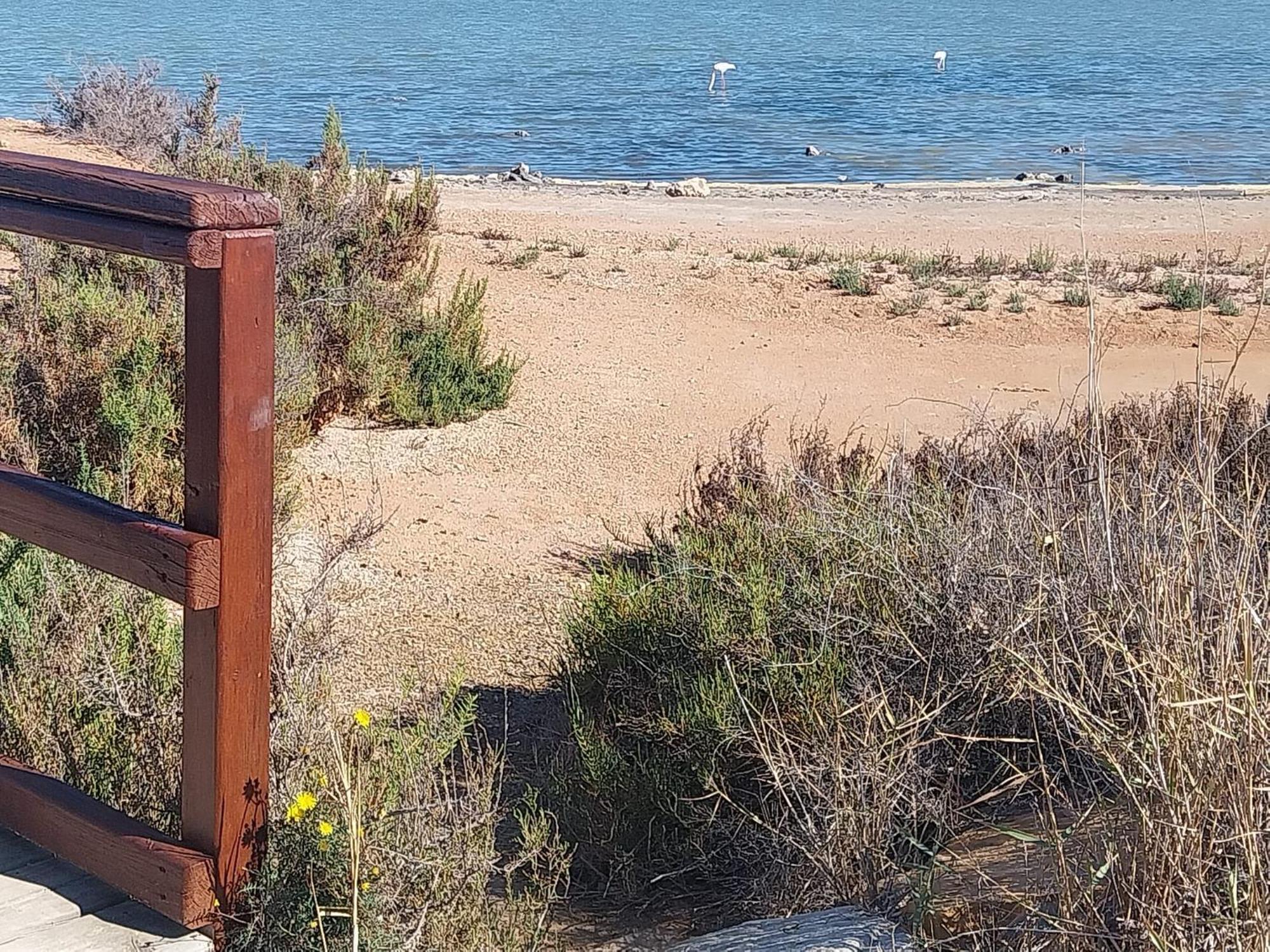 Appartamento San Pedro del Penatar San Pedro del Pinatar Esterno foto